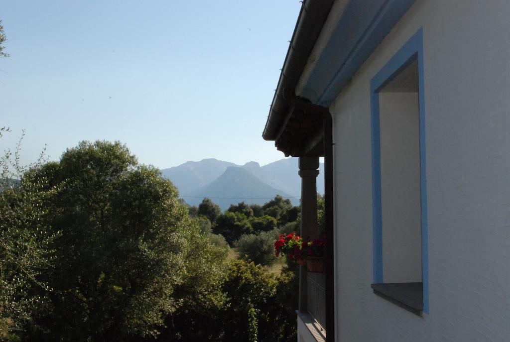 Residenza Di Campagna Dolmen Motorra Pensionat Dorgali Exteriör bild